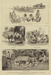 Round the World Yachting in the Ceylon, X, Ceylon